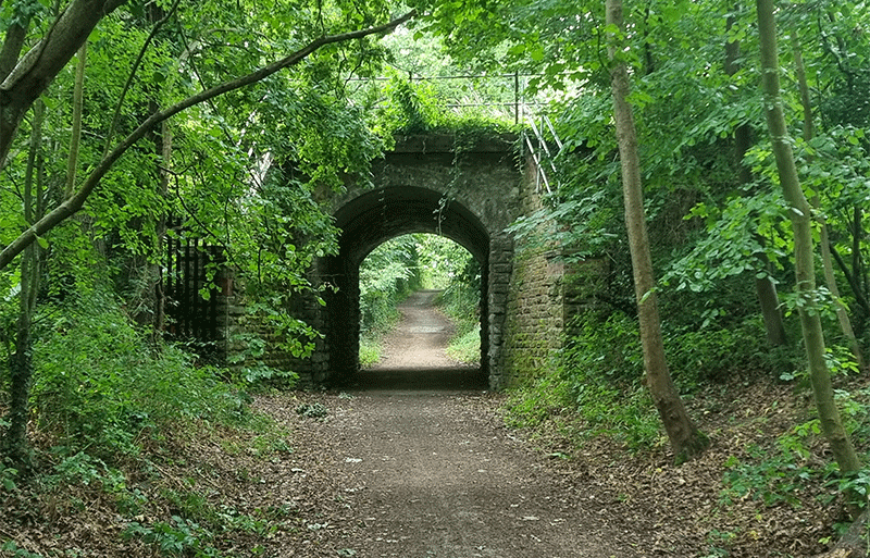 Tree-lined Downs Link path